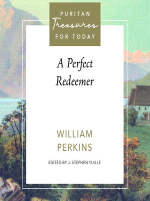 cover image of A Perfect Redeemer